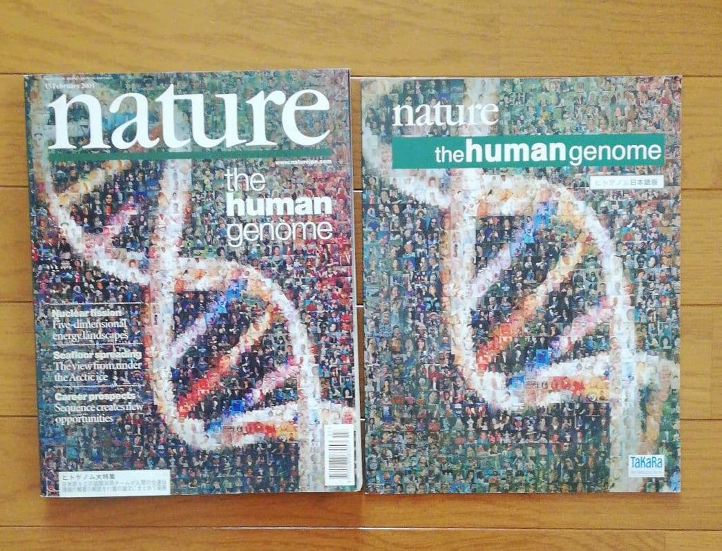 ネイチャー　ヒトゲノム特集号　2冊組