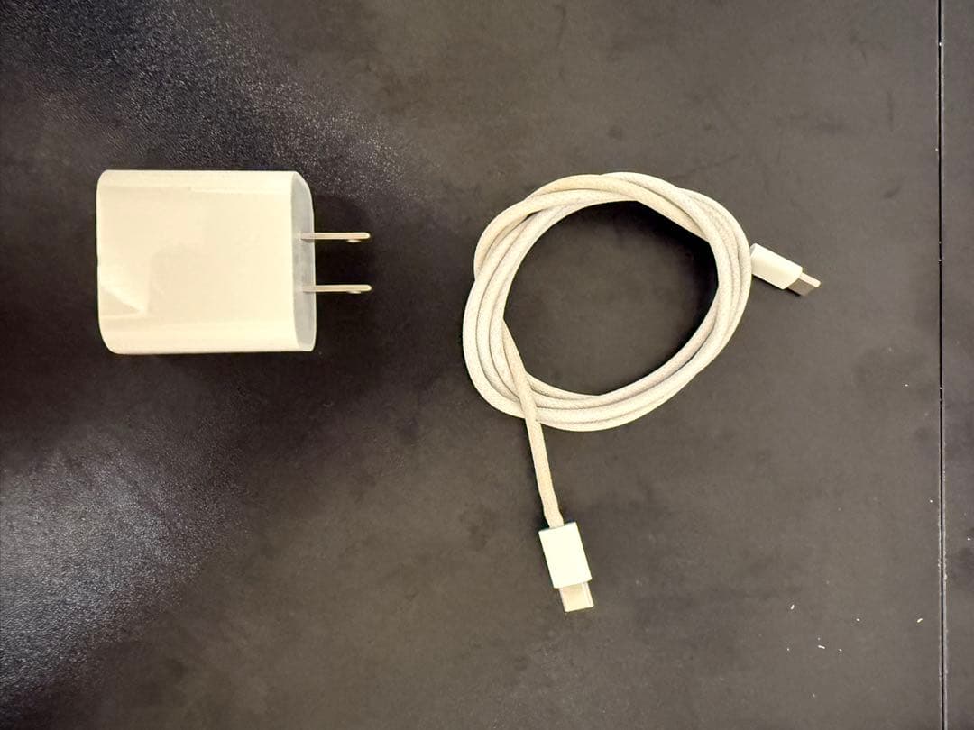 iPad Pro 11インチ 第3世代M1 256GB WiFi スペースグレイ