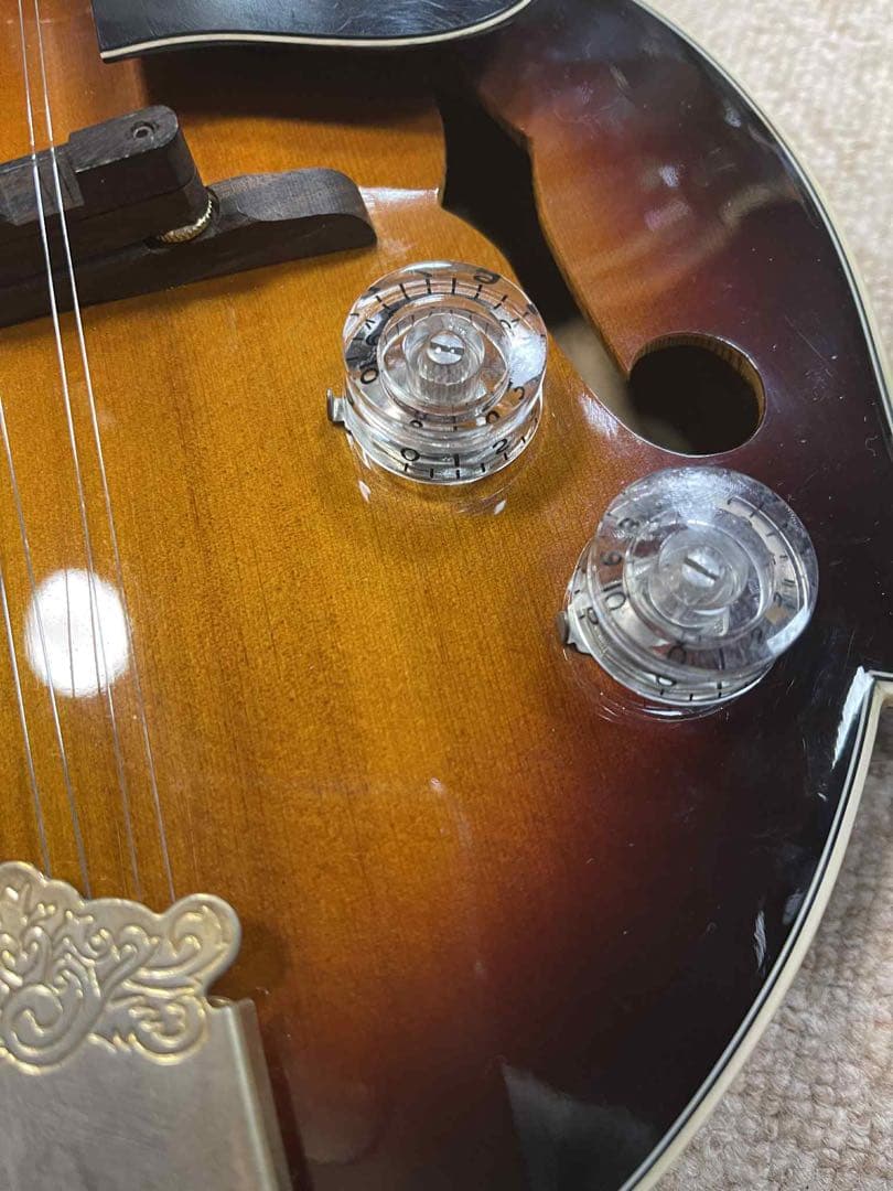 Rally ラリー エレクトリックフラットマンドリン&ハードケース