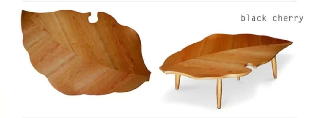 テーブル　ローテーブル　こたつ　葉っぱ　おちば　落ち葉　炬燵　葉　ochiba