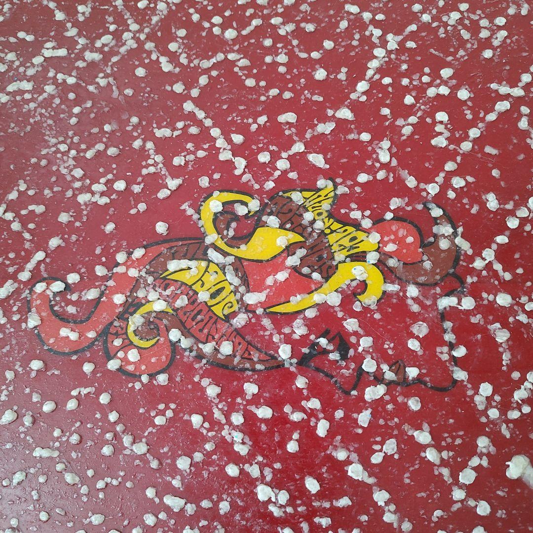 ジョエルチューダーロングボード