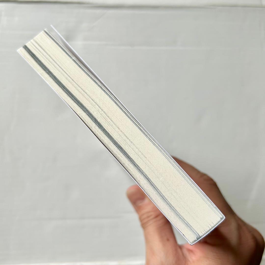 【洋書】Mark Borthwick