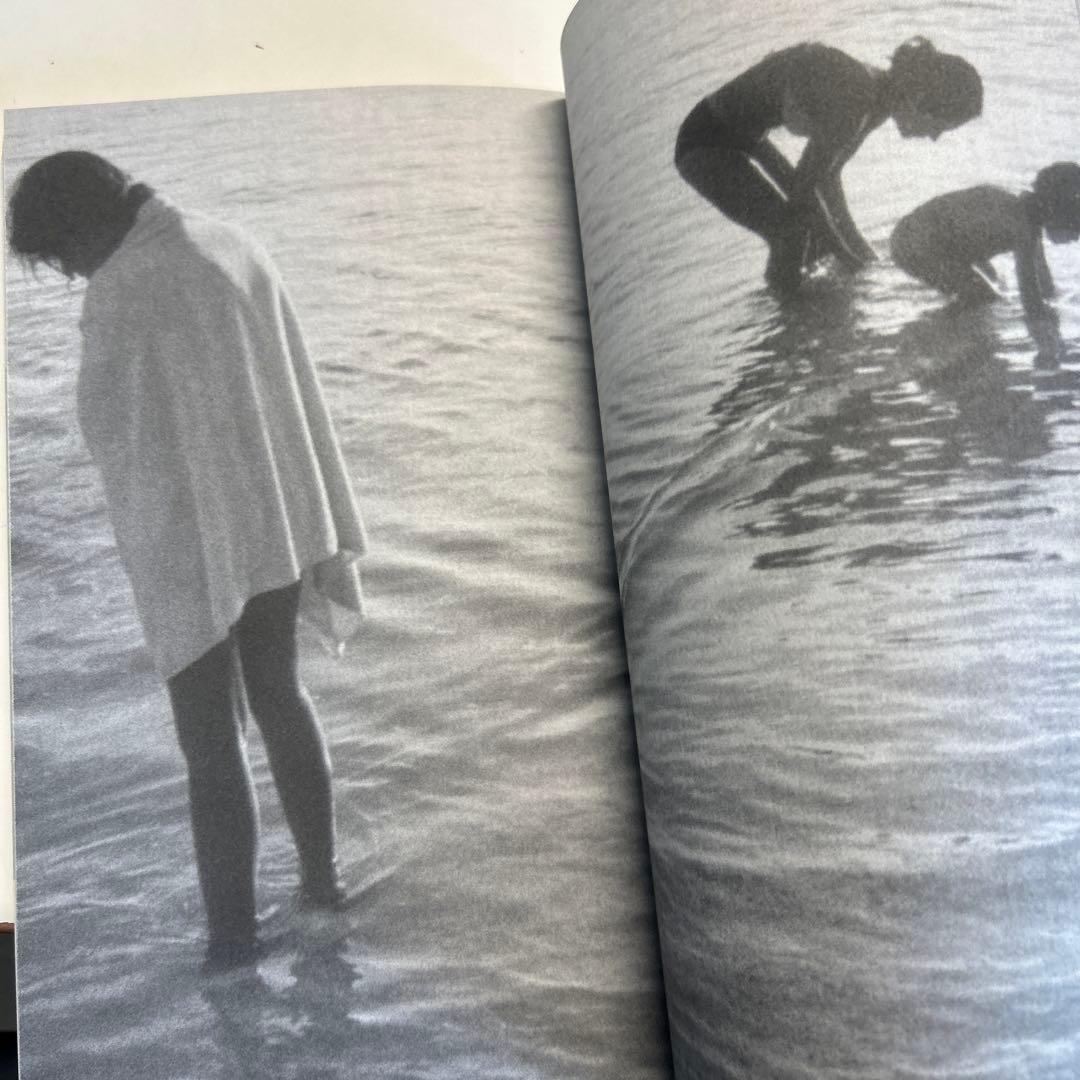 【洋書】Mark Borthwick