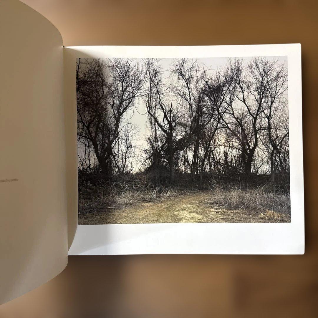 JOEL STERNFELD OXBOW ARCHIVE ジョエルスタンフィルド