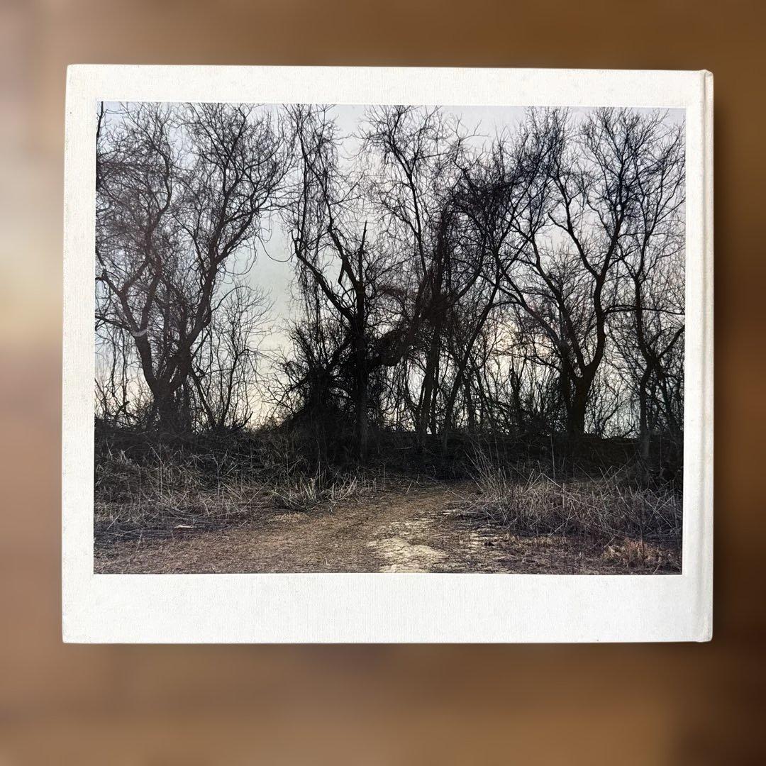 JOEL STERNFELD OXBOW ARCHIVE ジョエルスタンフィルド