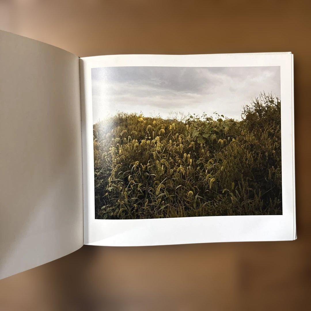 JOEL STERNFELD OXBOW ARCHIVE ジョエルスタンフィルド