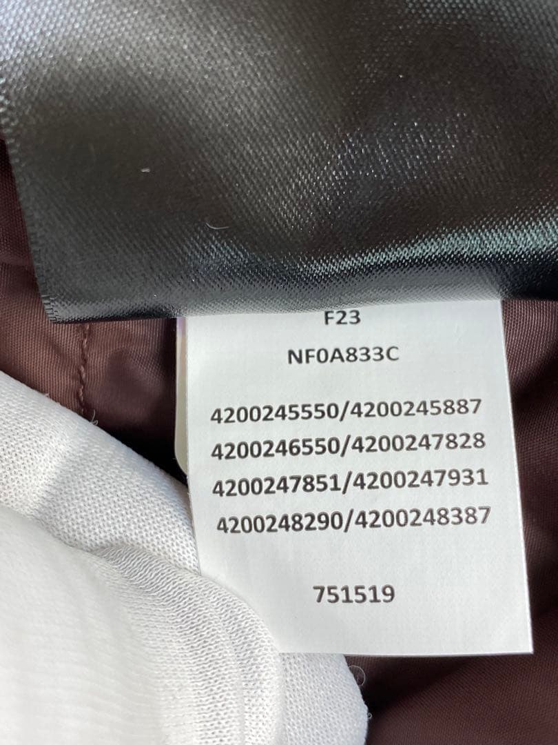 ◼️新品未使用◼️XL◼️ザノースフェイスUSベスト◼️The North Face◼️