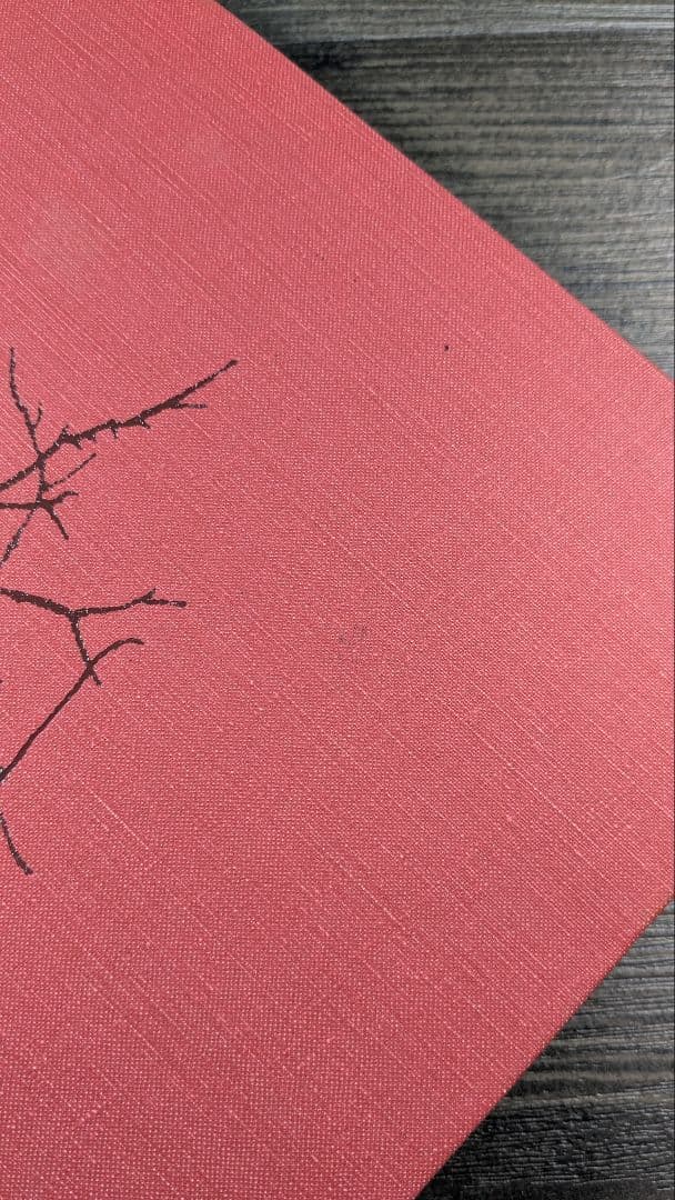 洋書　Medical Neurobiology