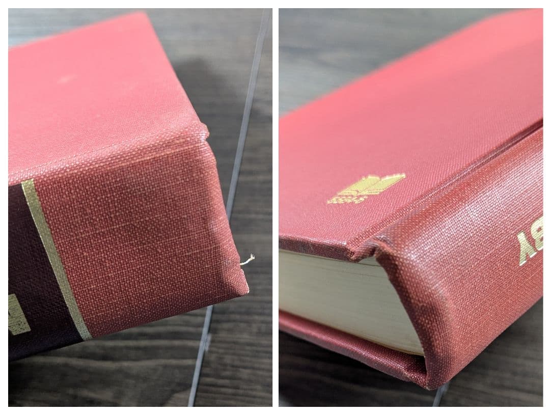 洋書　Medical Neurobiology