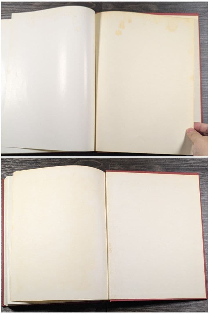 洋書　Medical Neurobiology