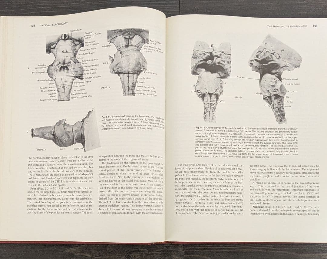 洋書　Medical Neurobiology