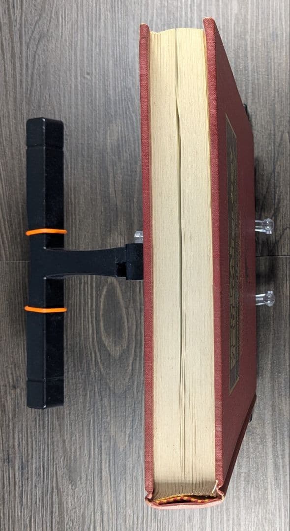 洋書　Medical Neurobiology