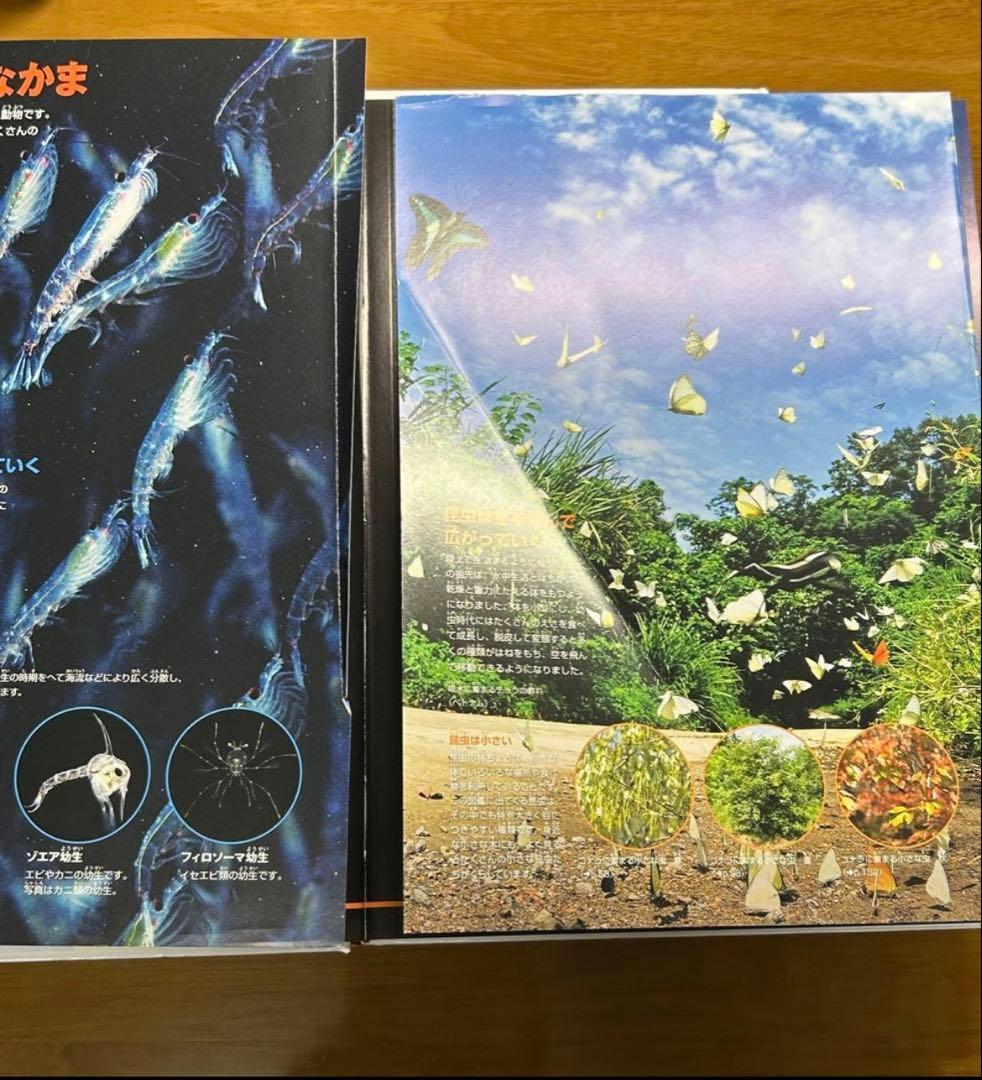 小学館の図鑑　NEO ネオ　全25巻　セット