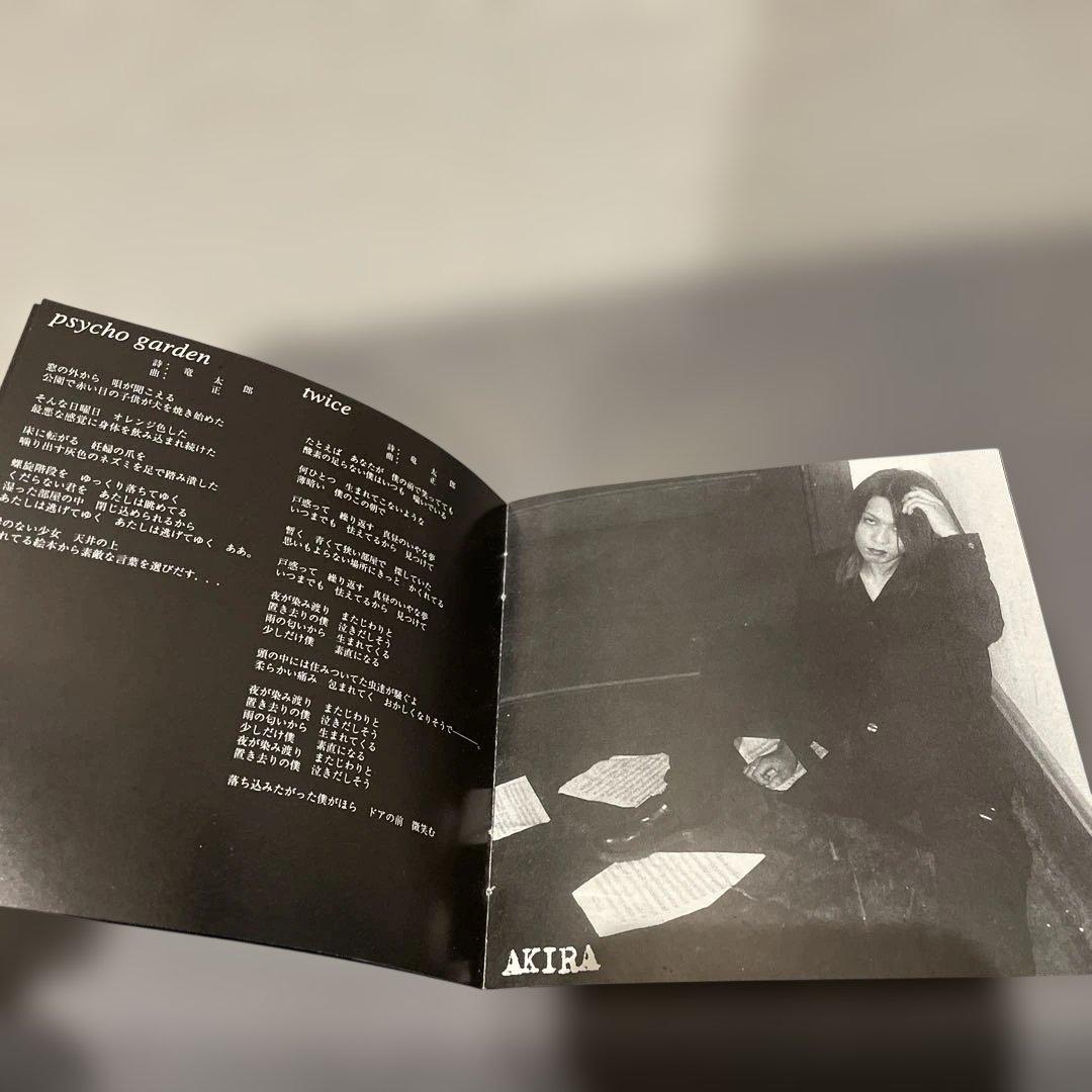 週末限定価格 Plastic Tree Strange fruits 初回 CD