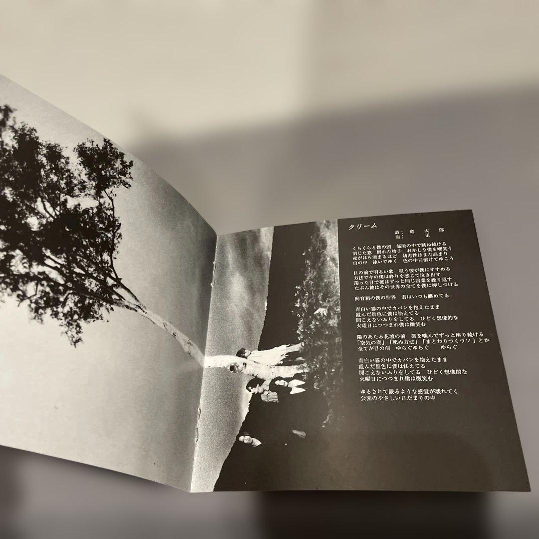 週末限定価格 Plastic Tree Strange fruits 初回 CD