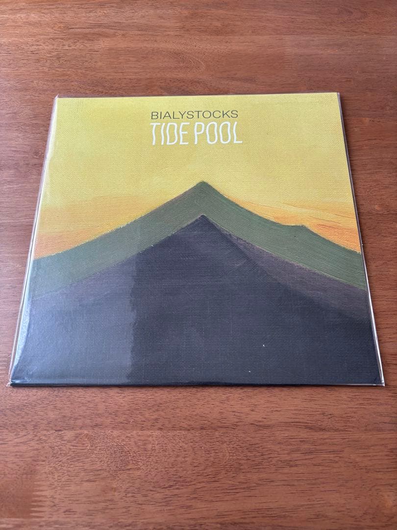 TIDE POOL / BIALYSTOCKS レコード 未使用