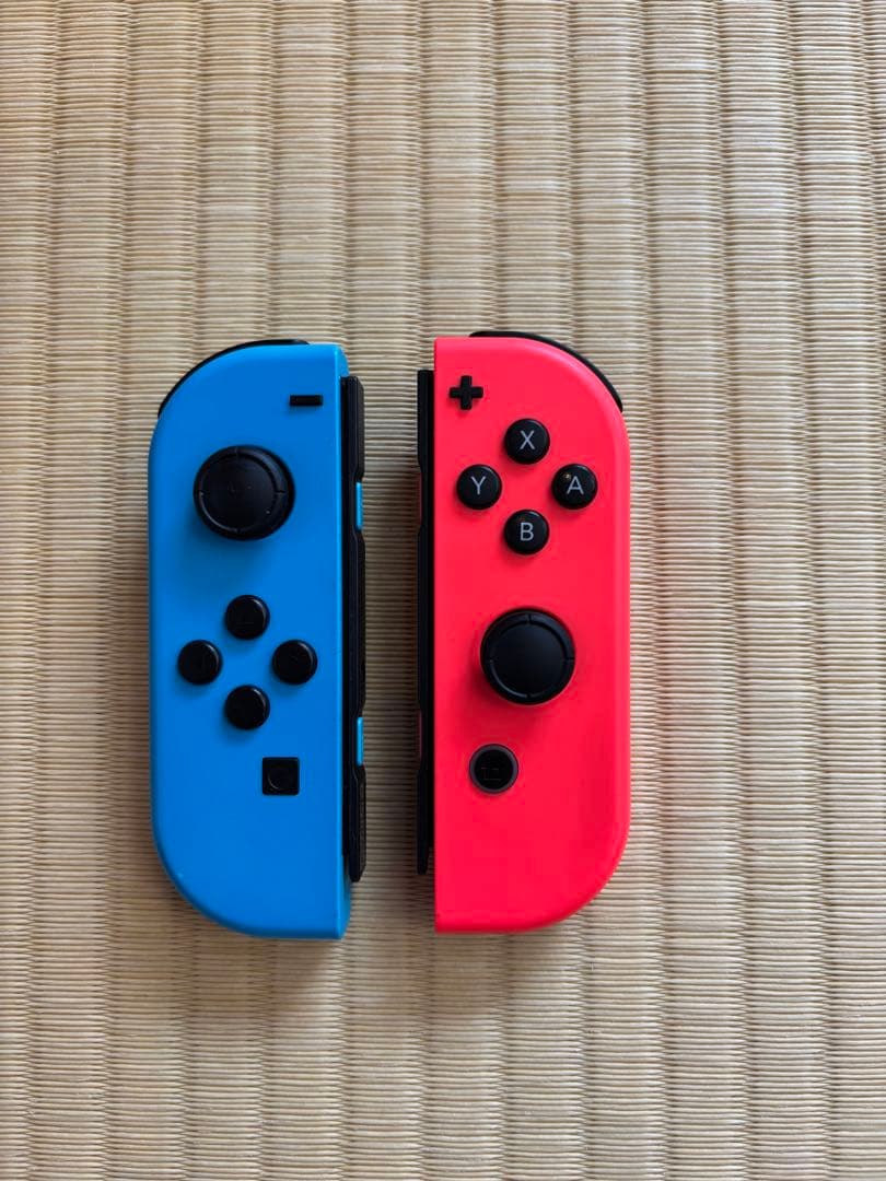 ⭐︎シロ⭐︎ Switch リングフィットアドベンチャー同梱版