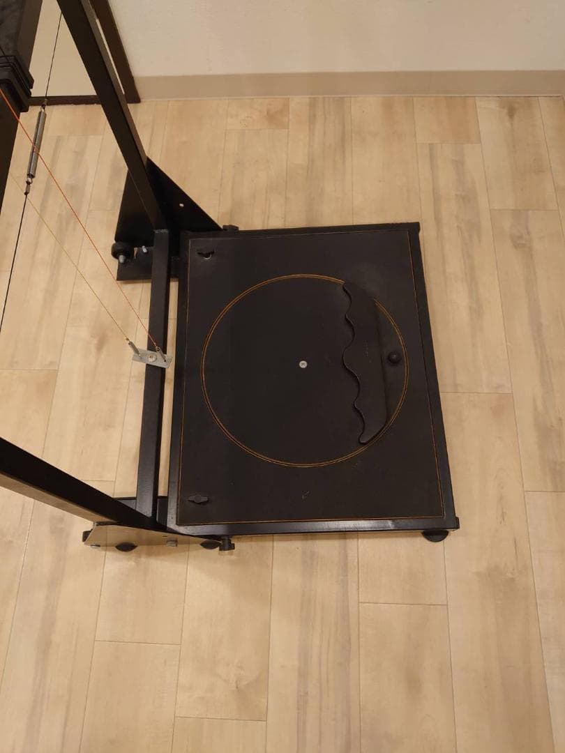 ぴいさん専用　エサキオリジナル姿勢分析器(ターンテーブル式)