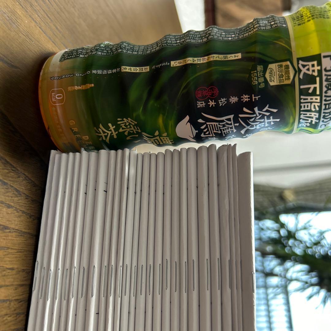 鉄緑会　高3物理発展講座　冊子1〜24 全冊　理系