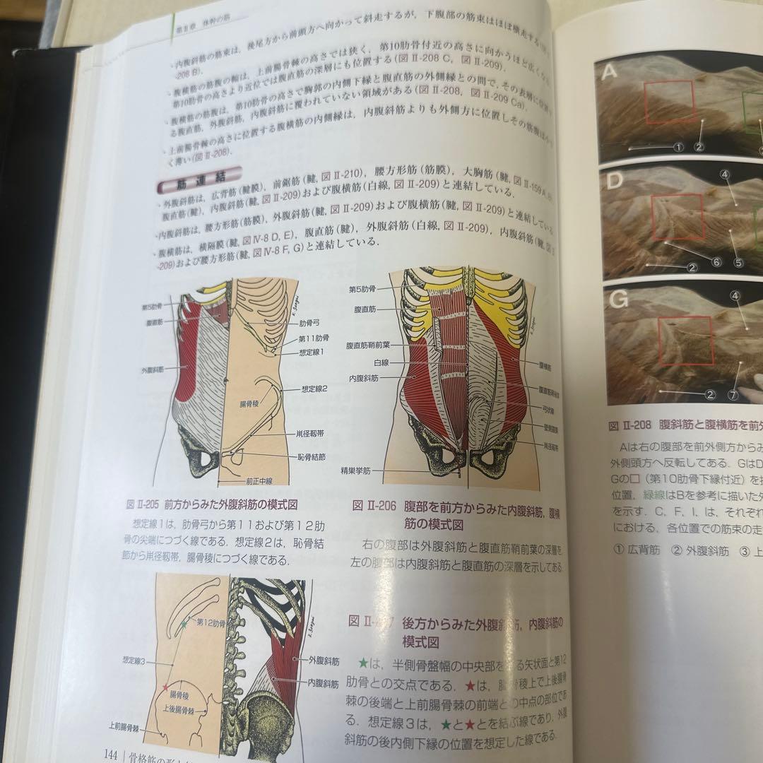 骨格筋の形と触診法 第2版