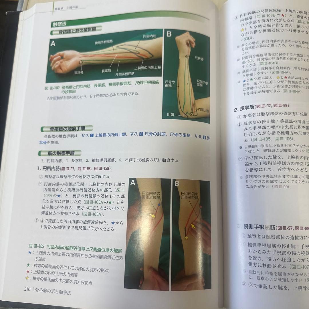 骨格筋の形と触診法 第2版