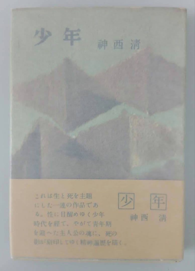 神西清 少年 昭和30年初版発行