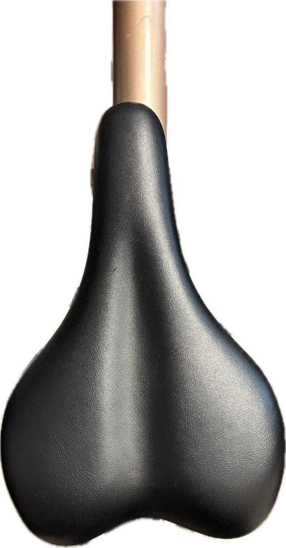 【引き取り限定】X20 折りたたみ電動アシスト自転車 Pykes Peak