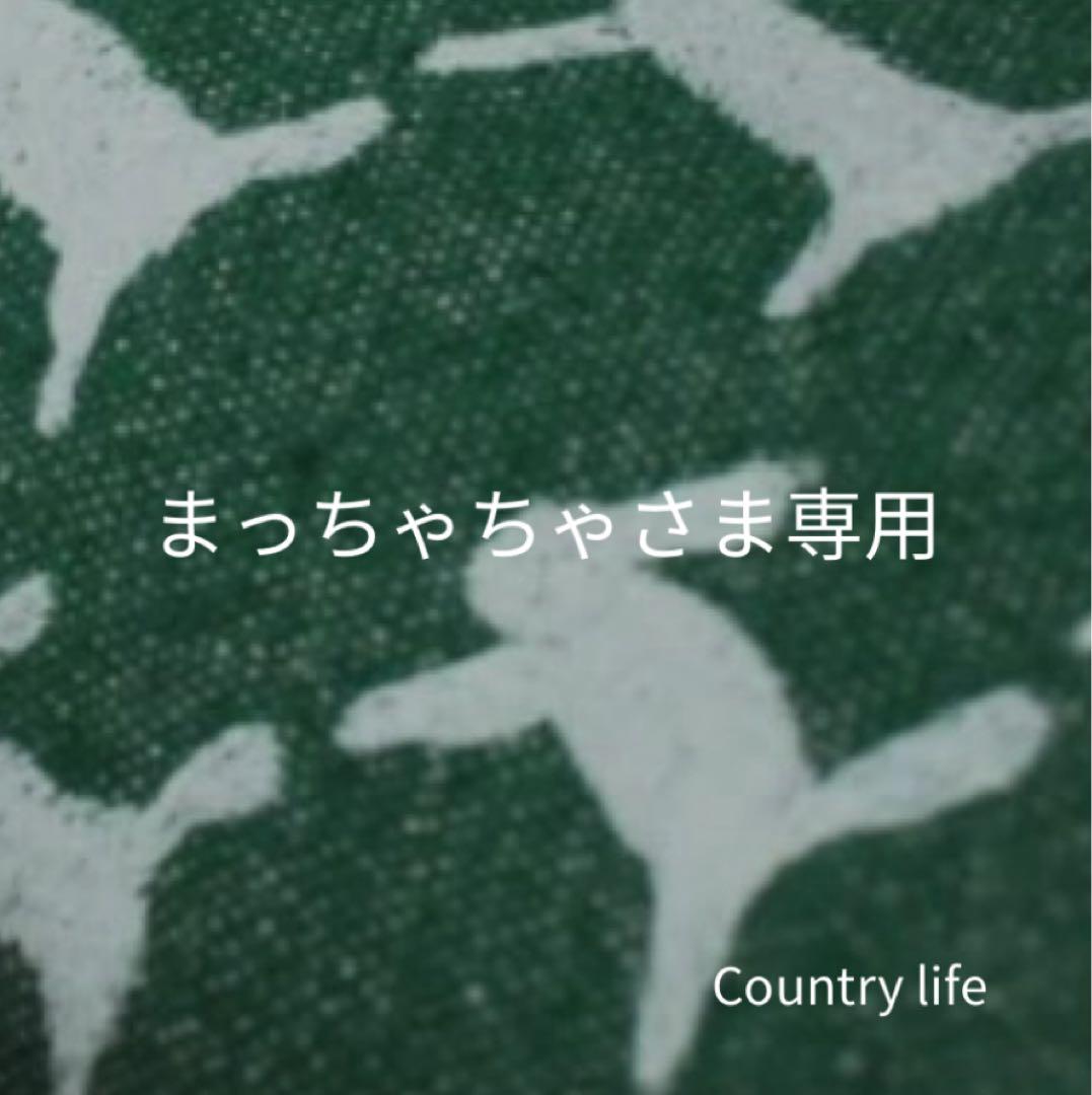 4362.4365*まっちゃちゃさま専用 ミナペルホネン 通帳 ランプ