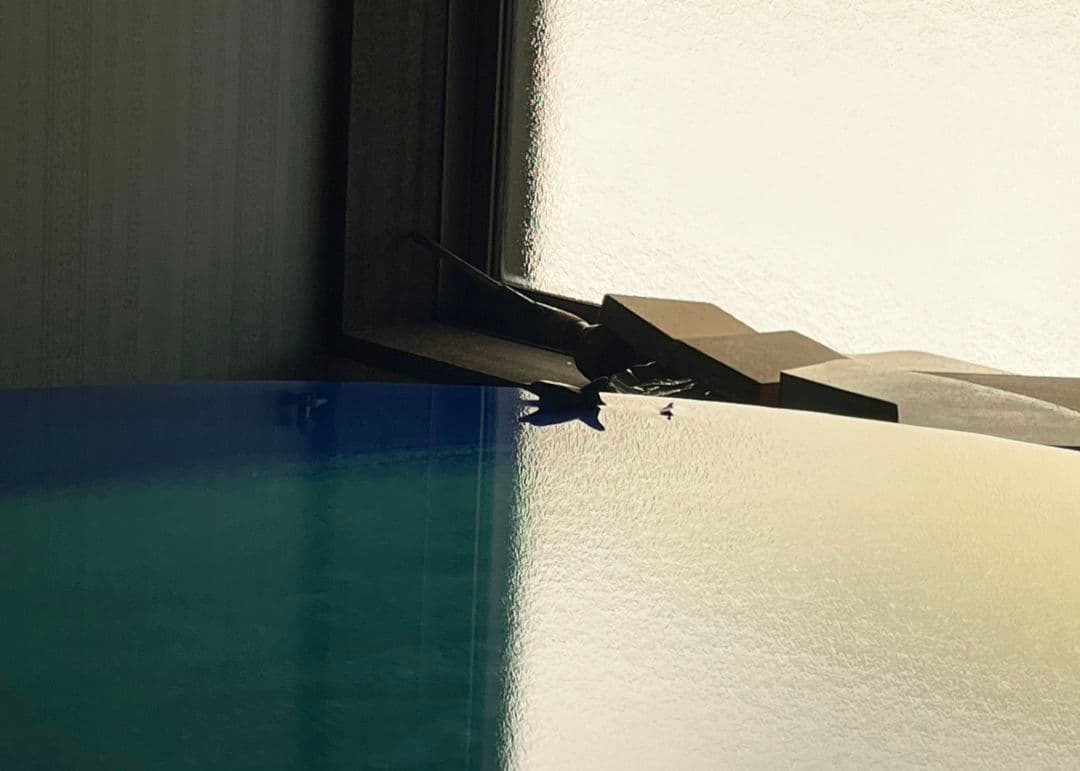 【さち(オーダー品)】海の丸テーブル