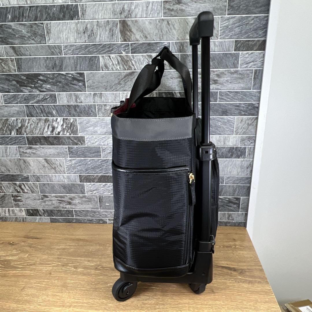 せつ　SWANY スワニー ウォーキングカート　4輪　ショッピングカート