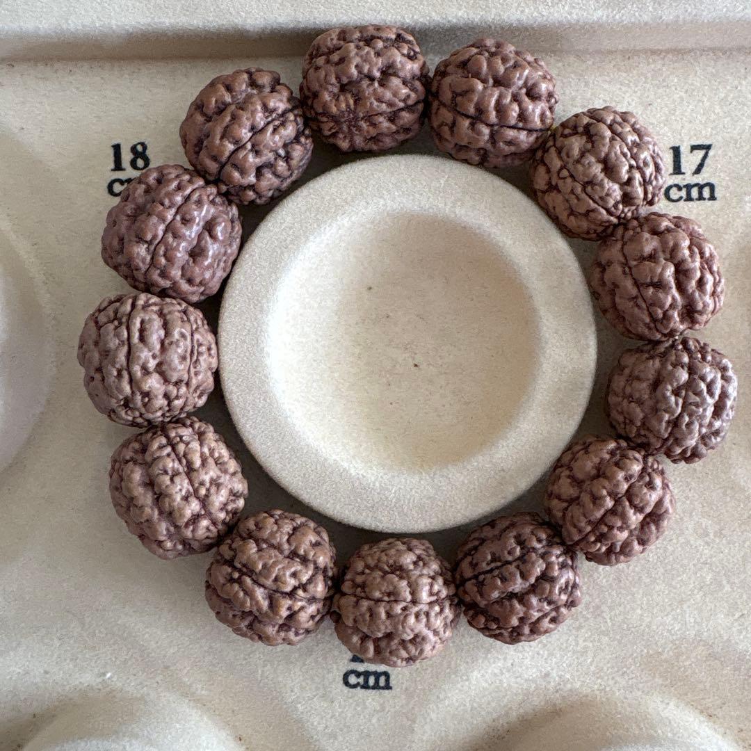 コッコブライド　ルドラクシャシナールブレスレット