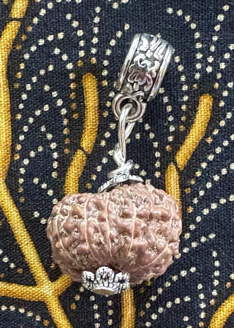 コッコブライド　ルドラクシャシナールブレスレット