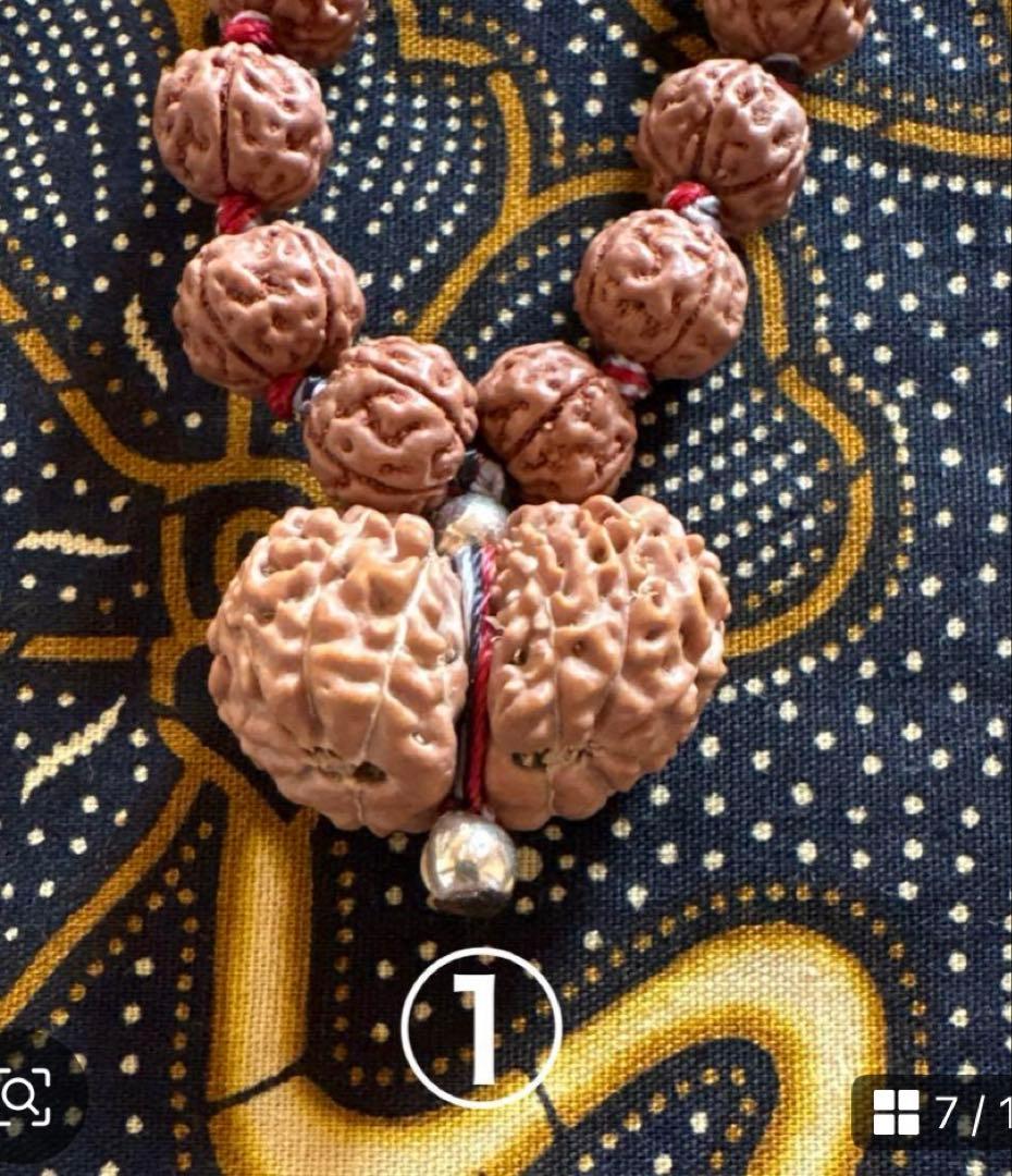 コッコブライド　ルドラクシャシナールブレスレット