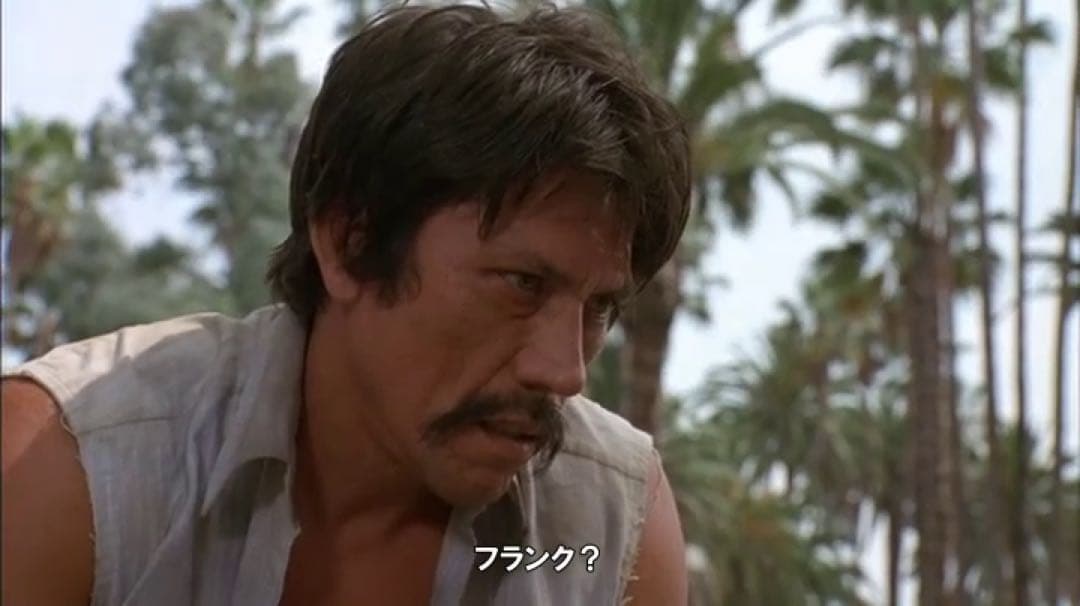 Mi Vida Loca チカーノ Chicano G-Rap ローライダー