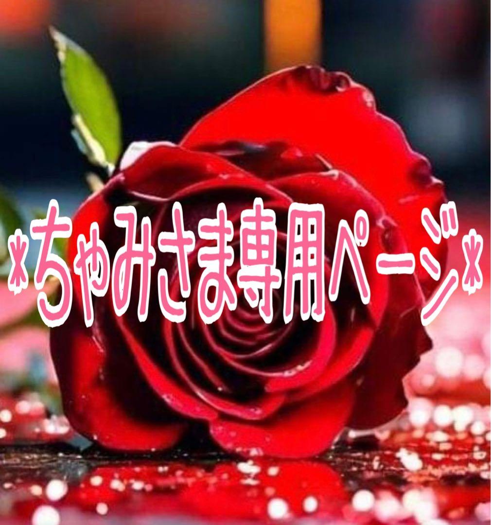 *ちゃみさま専用ページ*