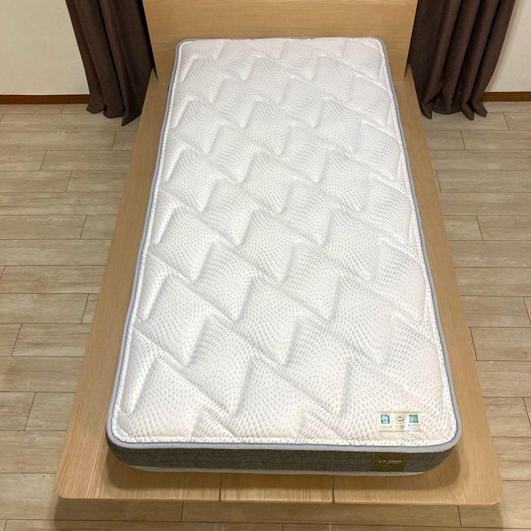 【自社配送エリア限定販売】FRANCEBED/LT-5000ミディアムソフトS