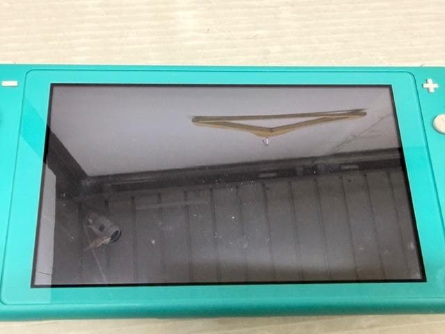 Nintendo Switch Lite ニンテンドー スイッチ ライト