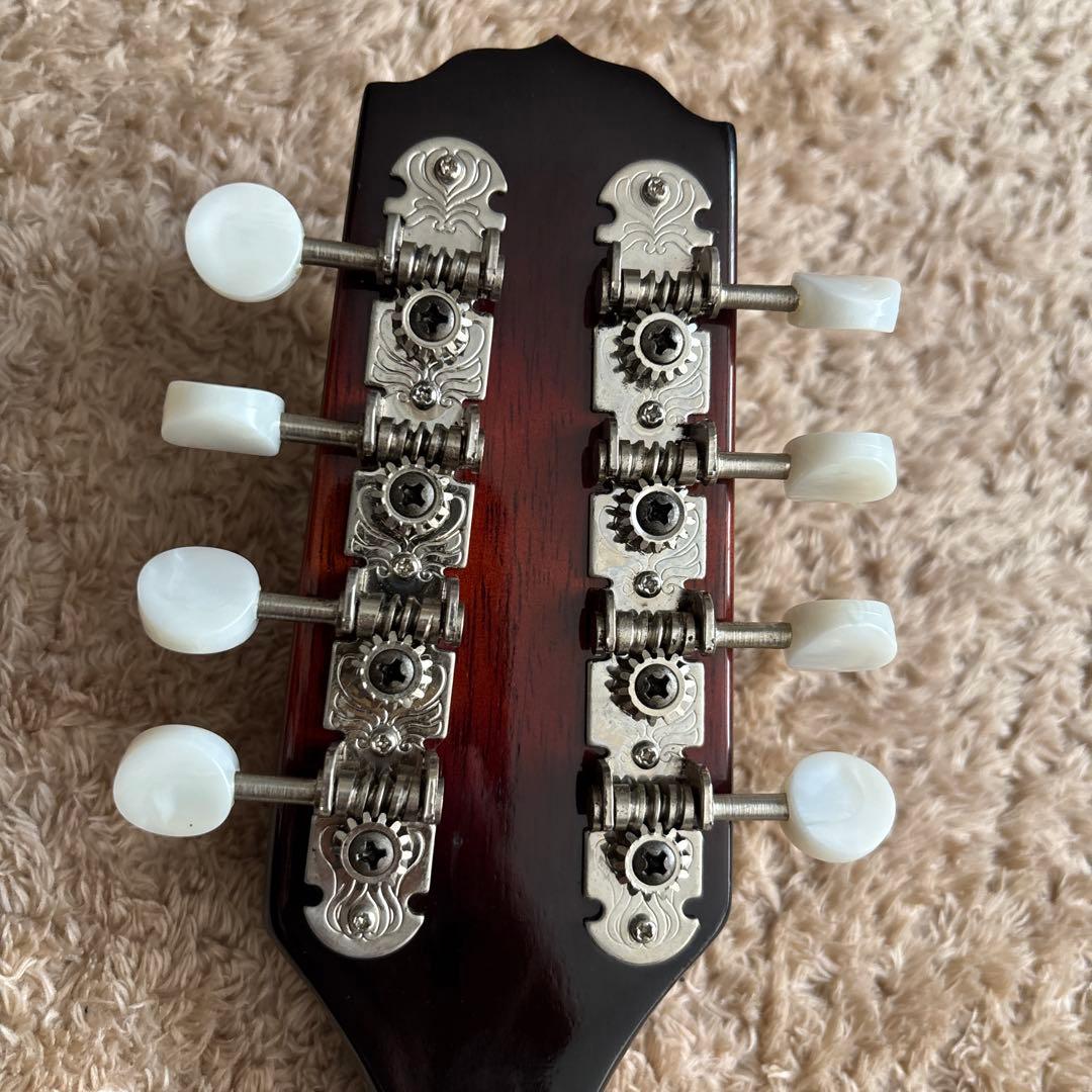 【Fender】 エレクトリック フラットマンドリン