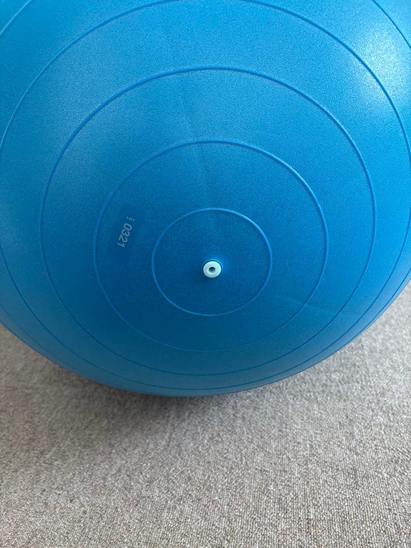 青 Physio Roll Plus バランスボール