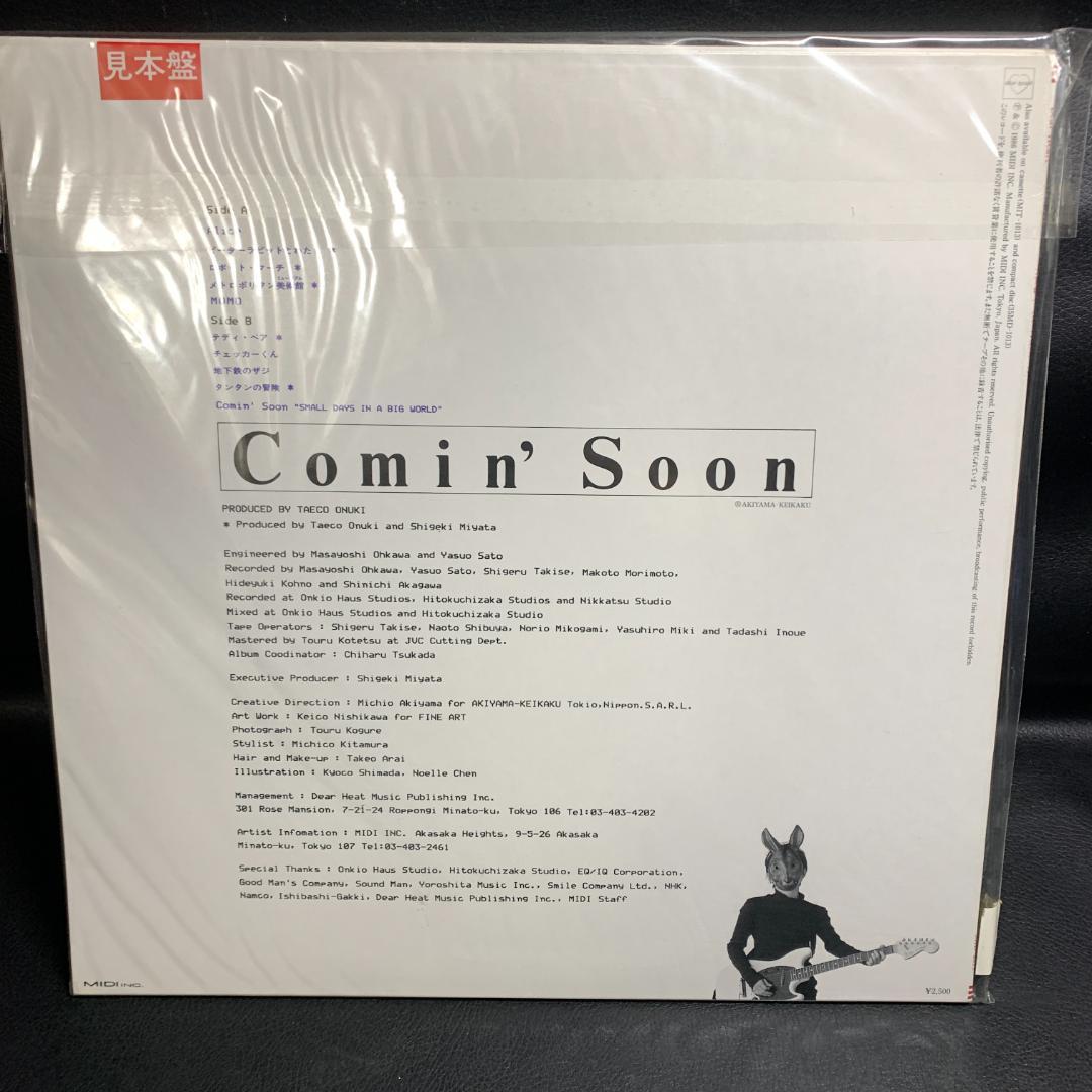 見本版　非売品　大貫妙子　Taeco Onuki カミングスーンLP　絵本