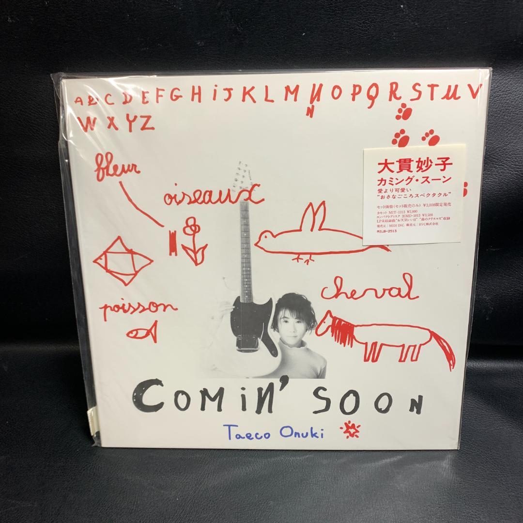 見本版　非売品　大貫妙子　Taeco Onuki カミングスーンLP　絵本