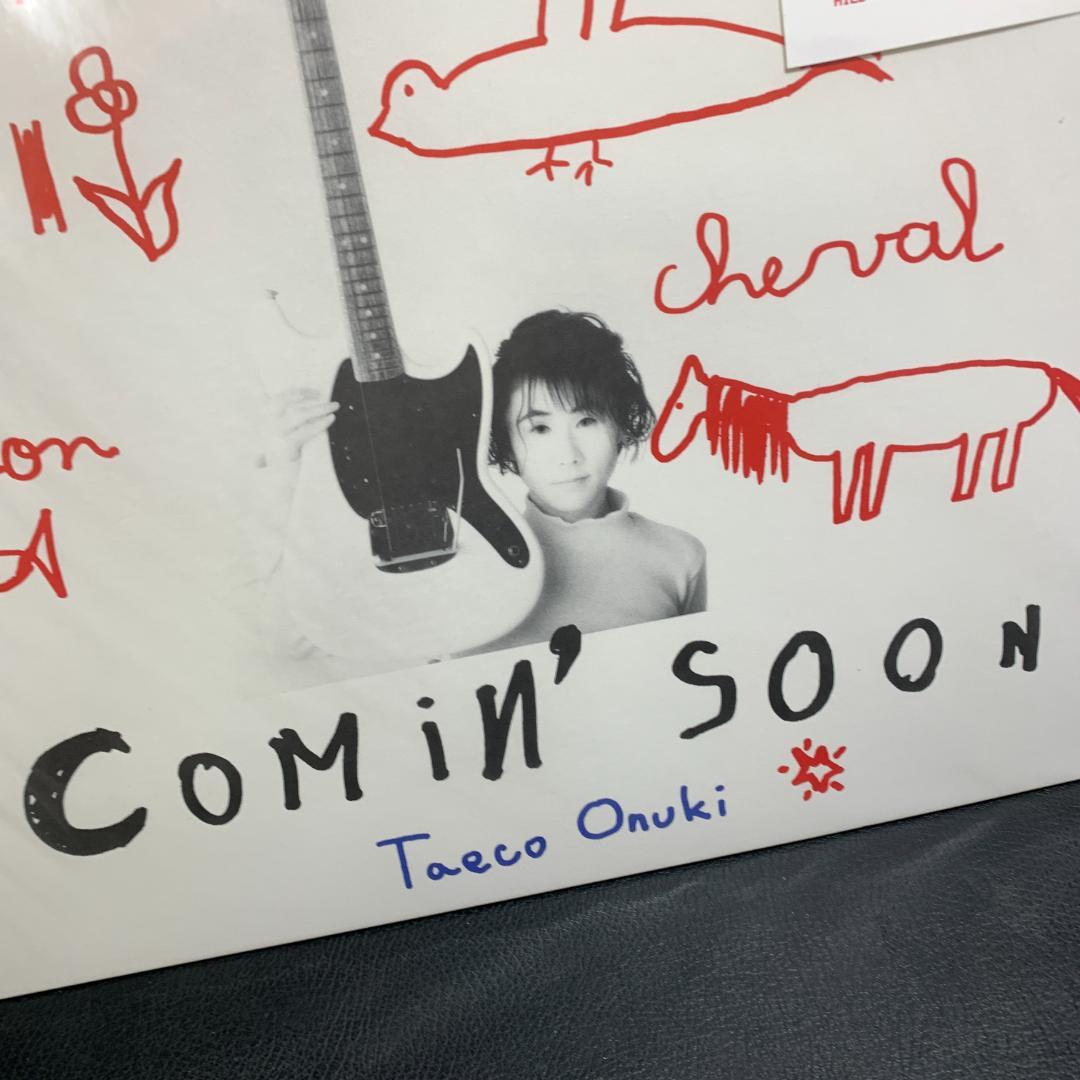 見本版　非売品　大貫妙子　Taeco Onuki カミングスーンLP　絵本