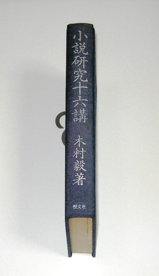 小説研究十六講 恒文社 木村 毅☆箱帯付き、美本