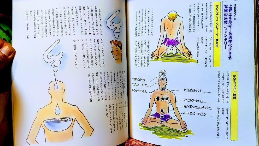 麻原彰晃のズバリ! 浮揚　28人の決定的瞬間が証明する現代の神秘