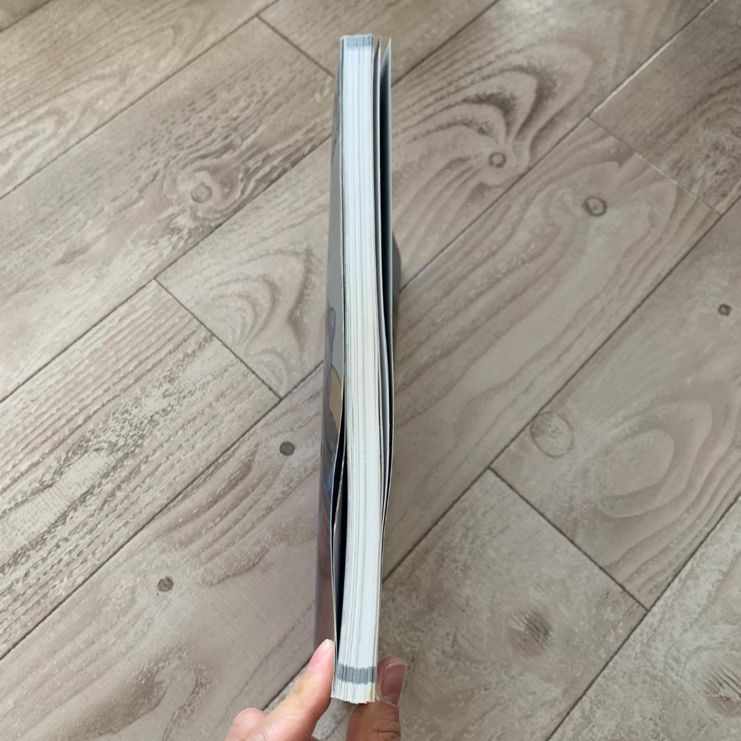 洋書 Mega Man Battle Network Official Complet