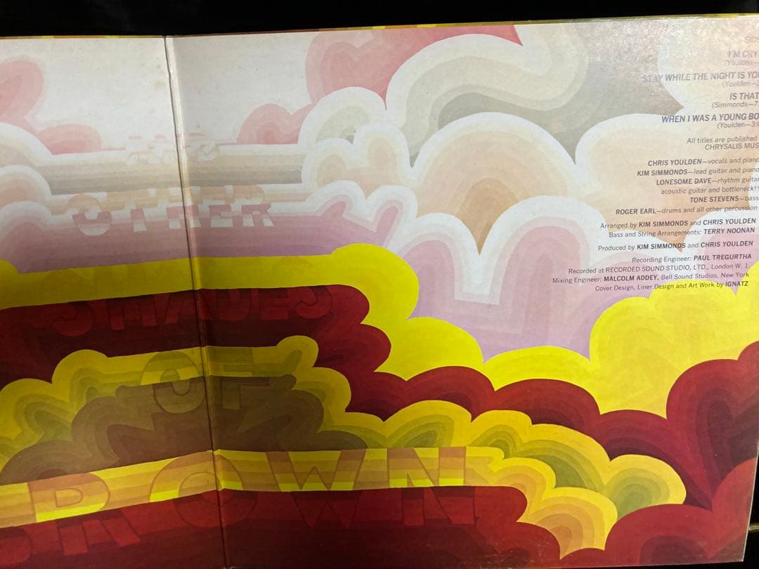 たぶんUKORG Savoy Brown Raw Sienna LP 美品