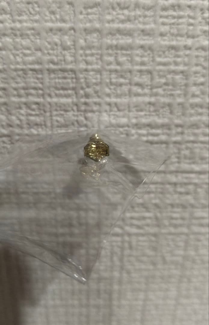 新品未使用　sacai　Carhartt　ピアス