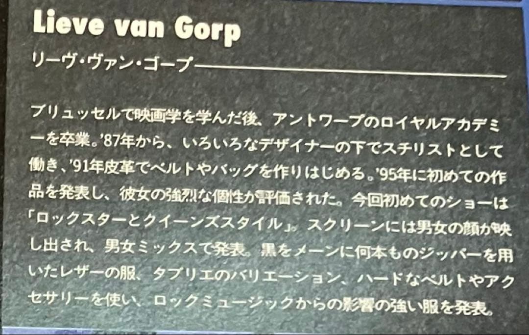 Lieve Van Gorp✨美品 99AW本革アートピースパイソンレッグカバー
