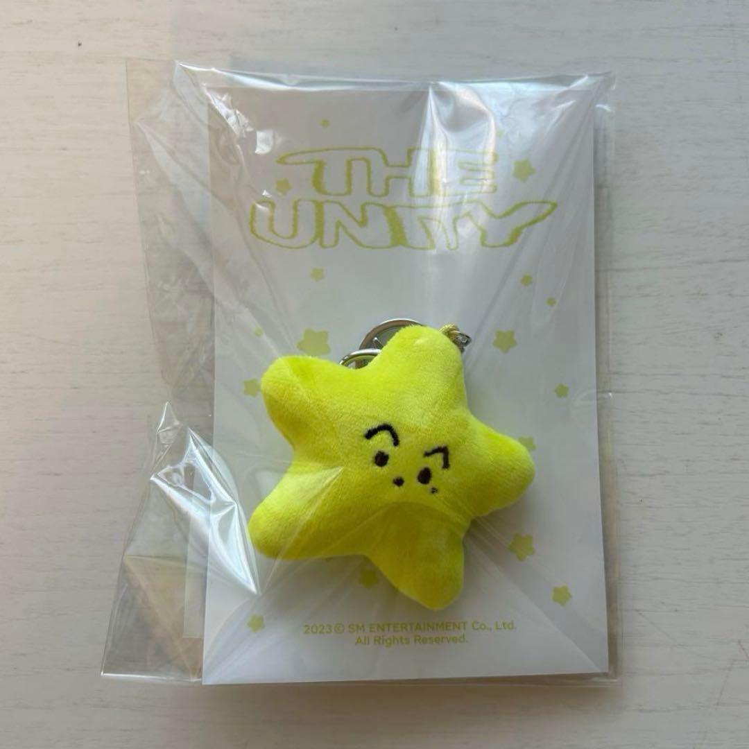 NCT127 イリチル THE UNITY ヒトデ キーリング マーク