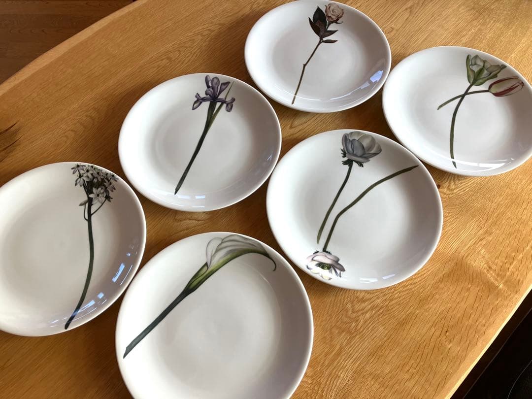 花柄陶器大皿6枚セット